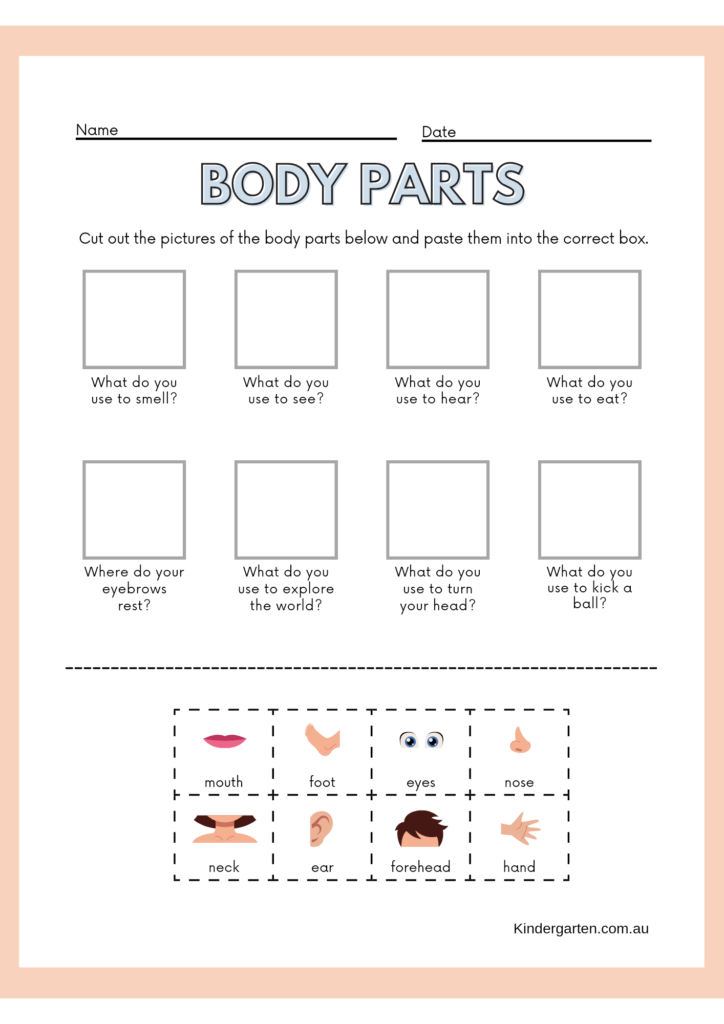 Body parts kids activity